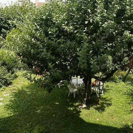 Maison Eliane ורסאי